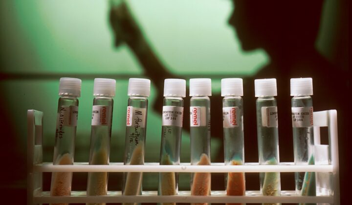 Sanal Gerçeklik STEM Öğrenimini İyileştiriyor